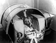 Hund Laika ist das erste Lebewesen, das die Sowjets ins Weltall schicken. Er überlebt nur wenige Stunden. (Bild: Getty Images)