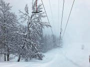Die Tannen ragen in das Trasse des Lifts. (Bild: PD)