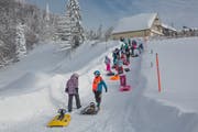 Schülerinnen und Schüler aus Goldach steigen mit Schlitten und Helm den Berg oberhalb von Heiden hoch. (Bild: Christof Sonderegger)