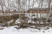 Der Arneggerbach, hier auf der Westseite der Bahngleise, soll bald auch auf der Ostseite offen fliessen. (Bild: Hanspeter Schiess)