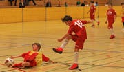 Der FC Haag war im zweiten Turnier der Junioren E2 der Konkurrenz um einen Schritt voraus, schoss in fünf Partien 13 Tore und krallte sich mit vier Siegen und einem Remis den Turniersieg. (Bild: Robert Kucera)