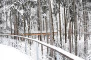 Wie aus einem verwunschenen Winterland entsprungen präsentiert sich der tief verschneite Baumwipfelpfad Neckertal. (Bild: Urs M. Hemm)