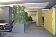Die Farben Gelb und Grün dominieren: Das RAV Wil präsentiert seine neuen Räumlichkeiten, konzipiert als Open-Space-Büros. Bild: Nicola Ryser