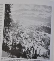 Blick ins Werdenberger Jahrbuch: 1999 zerstörte diese grosse Staublawine oberhalb Gams 50 Hektaren Bergwald. (Bild: Armando Bianco)