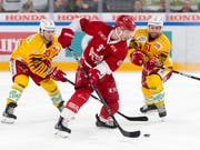 Die SCL Tigers hatten beim Gastspiel in Lausanne das Nachsehen. Hier enteilt Lausannes Stürmer Joël Vermin den Langnauern (Bild: KEYSTONE/LAURENT GILLIERON)