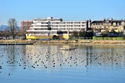 Die HRS plant auf dem Metropol-Gelände mit dem Projekt «Riva» zwei 40 Meter hohe Zwillingstürme. (Bild: Max Eichenberger)