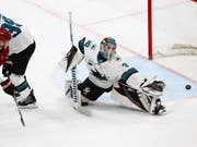 Siegesserie gerissen - bei San Jose hütete diesmal die Nummer 2 Aaron Dell das Tor und kassierte gegen Arizona sechs Gegentreffer (Bild: KEYSTONE/AP/ROSS D. FRANKLIN)