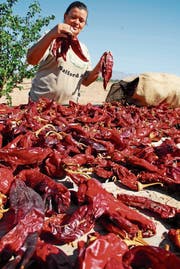 Teuflisches unter der Sonne: Chilis ausgelegt zum Trocknen in Arizona.