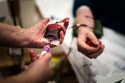 Die Stiftung Blutspende SRK Ostschweiz braucht etwa 12000 Blutprodukte pro Jahr. Es gibt aber nur noch etwa 7000 Spenderinnen und Spender – Tendenz sinkend. (Bild: Michel Canonica)