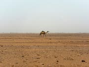 In der Sahara dauert es mehrere tausend Jahre bis sich das Regenwasser in tieferen Erdschichten als Grundwasser ansammelt. (Bild: KEYSTONE/AP/JEROME DELAY)