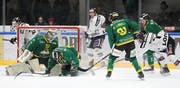 Der HC Thurgau (hier im Spiel gegen Visp) musste am Dienstag gegen Langenthal erstmals im Kalenderjahr 2019 vor heimischem Publikum als Verlierer vom Eis. (Bild: Mario Gaccioli, Weinfelden, 15. Januar 2019)