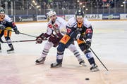 Sven Senteler (rechts) trifft zum 4:1 für Zug. (Bild: Daniela Frutiger/Freshfocus (Zug, 22. Januar 2019))