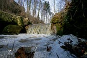 Luftblasen sind ein typisches Zeichen für verschmutztes Wasser (Bild: Philipp Schmidli)