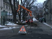 Die Blumenaustrasse wird für die Fällaktion voraussichtlich den ganzen Tag gesperrt sein.