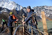 Die Schüler legten sich am Reussdelta ins Zeug und trotzten so der Kälte. (Bilder: Urs Hanhart (Seedorf, 23. Januar 2018))