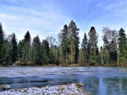 Der zugefrorene Teufenweiher in Neuenkirch. (Bild: Urs Gutfleisch, Neuenkirch, 23. Januar 2019)