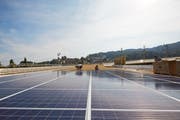 Auch Fragen rund um Solaranlagen (hier das Dach der Swisspor Arena) sollen in der Fragestunde der Dienststelle Umwelt und Energie geklärt werden. Bild: Jakob Ineichen (Luzern, 2. September 2016)