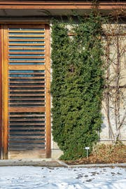 Der Eingang der Orangerie des Botanischen Gartens, umrankt von einer Kletterpflanze. (Bild: Bilder: Urs Bucher)