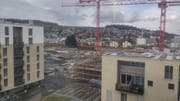 Bild: Stefan Dähler, Kriens, 28. Januar 2019
