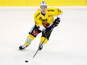 Nationalstürmer Gaëtan Haas könnte den SC Bern bei einem Angebot eines NHL-Klubs nach der laufenden Saison verlassen (Bild: KEYSTONE/SALVATORE DI NOLFI)