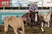 Westernreiterin Yvonne Heinzer im Einsatz: Mit ihrem Pferd trennt sie ein Rind von dessen Herde. (Bild: PD)
