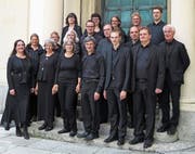Das Vokalensemble Hottingen Zürich singt am Sonntag in der Klosterkirche Neu St. Johann. (Bild: PD)