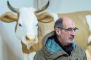 SBV-Direktor Jacques Bourgeois betont die lokale und regionale Bedeutung des Agrarsektors. (Bild: Pius Amrein; Hergiswil, 3. Januar 2019)