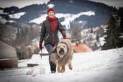 Janine Spirig auf einem Morgenspaziergang mit ihrem Hund. (Bild: Ralph Ribi, 19.Dezember 2018)