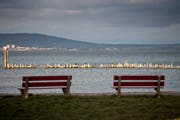 Die alte Stelli vor dem Hafen in Kesswil. (Bild: Reto Martin)