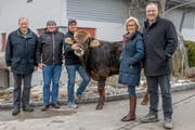 Kurz nach der Taufe: Gabenchef Hanspeter Krähenbühl, OK-Präsident Walter Lanz, Züchter Beat Schmid aus Lustdorf, Zuchtstier Geiges und seine Paten Karin und Stefan Geiges. (Bild: PD)