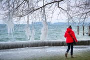 Ende Februar vor einem Jahr war es bitterkalt in der Ostschweiz. (Bild: Urs Bucher/26. Februar 2018)