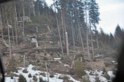 Das Sturmtief Burglind verursachte vor allem in Teilen des oberen Toggenburgs erhebliche Schäden im Wald. (Bild: Sabine Camedda)