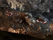Eine 10,5-Zentimeter-Granate (links) und eine 50-Kilo-Bombe, wie sie Fotografen anlässlich einer Begehung des Munitionsdepots Ende Juni letzten Jahres antrafen. (Bild: KEYSTONE/ANTHONY ANEX)