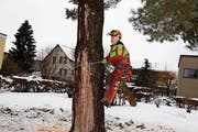 Der Baufäll-Profi Ernst Frei macht sich an die Arbeit. (Bild: Bilder: Susi Miara)