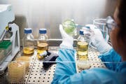 Die Schweizer Wirtschaft hängt von wenigen Branchen – speziell von der Pharmaindustrie – ab, wie Martin Neff kritisiert. (Bild: Christian Beutler/Keystone)
