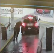 Die entscheidende Szene aus dem Video, das viral ging: Die Frau wird von der Schranke getroffen. (Screenshot)
