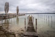 Blick vom Bootssteg Ost auf die Stedi in Ermatingen. In Kürze sollen beide saniert werden. (Bild: Reto Martin)
