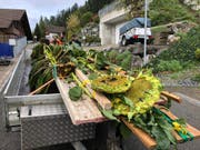 Gut gesichert werden die Sonnenblumen über den Ricken nach Jona transportiert (Bild: ZvG)