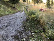 Von der Strasse abgekommen: Der Lenker wurde aus dem Auto geschleudert und starb später im Spital. (Bild: Kantonspolizei Wallis)