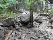 Am Fellihorn, oberhalb des Ortsteils Wiler, ereigneten sich in der Vergangenheit immer wieder Felsabbruch. Mit dem Neubau des Schutzdamms soll das Gebiet geschützt werden. (Bild: PD)