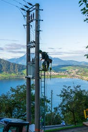 Seit Mitte September laufen die Arbeiten in Walchwil. (Bild: PD)