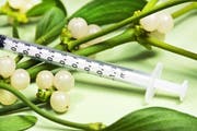 Die Misteltherapie spielt in der anthroposophischen Medizin eine wichtige Rolle. Die Wirksamkeit ist jedoch umstritten. Bild: Getty Images