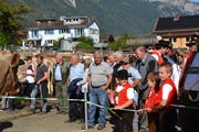Viel Publikum war gestern an der Gamser Gemeindeviehschau anzutreffen.