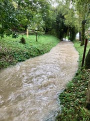 Weniger idyllisch als in den Tagen zuvor: Der Zuzwiler Dorfbach oberhalb der Tüfenwiesstrasse nach den Regenfällen am vergangenen Mittwochvormittag. (Bild: Andrea Häusler