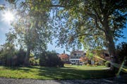 Das Bepflanzungskonzept des Haffterparks soll in dieser Legislatur überprüft und angepasst werden. (Bild: Reto Martin)