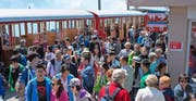 Touristen auf der Rigi. (Bild: Twitter)
