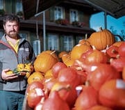 Daniel Rüttimann freut sich über die reiche Kürbisernte. B(ild: Maria Schmid, Cham, 10. Oktober 2019)