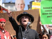 Die US-Schauspielerin Jane Fonda wurde von der schwedischen Klima-Aktivistin Greta Thunberg inspiriert. Das Bild zeigt Fonda an einer Demonstration in Los Angeles am 20. September. (Bild: KEYSTONE/AP FRE 171705/DAVID SWANSON)