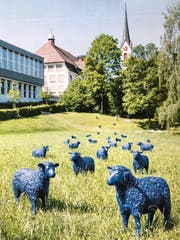 Die Fotos im Budgetbericht der Gemeinde Uzwil zeigen auf, wie und wo die blauen Schafe künftig «weiden» und den Grünraum zwischen Uzwil und Niederuzwil aufwerten könnten. (Bild: Andrea Häusler)