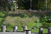 Blick auf die ausgeschiedene Blumenzone im Gemeinschaftsgarten. (Bild: Mathias Frei)